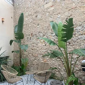 Les Fougeres Festival Jardin Garage Cannes